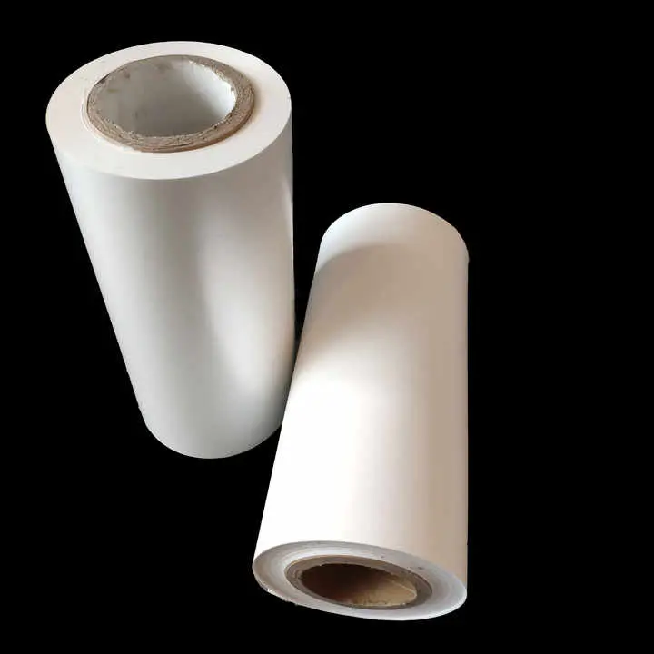 Movie ea Polyester Mylar Filimi ea ho phatloha le ho feto-fetoha